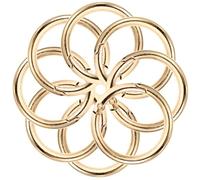 FUOYLOO 10pcs Alloy Circular Keyrings Golden DIY Crafts Securely Closed Circle Key Rings for Jewelry Making and Key Holder Accessories