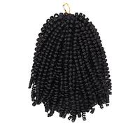 FUOYLOO Dreadlock Wig Short Curly Braid Hairpiece Low Temperature Fiber Natural Look for Everyday Use Women