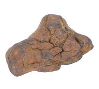 FUOYLOO Meteorite Sample 2-3Cm Iron-Nickel Space Rock Scientific Teaching Specimen for Science Classrooms and Desktop Decoration