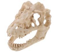 FUOYLOO Resin Dinosaur Skull Model Lifelike Beige Accessory for Terrariums and Office Display Decoration for Dinosaur Enthusiasts and Teachers