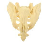 FUOYLOO Sacrum Anatomy Model Human Skeleton Model Pvc Washable Portable Design White for Education Medical Field Nurse Doctor Practice Training