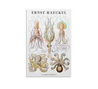 FUPMTKLT Ernst Haeckel Cephalopods Squid & Octopus Vintage Sea Zoology Nature Inspired Canvas Poster Wall Art Decor Print Picture Paintings for Living Room Bedroom Decoration 08x12inch(20x30cm)