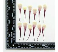 FUPOHUA Dried Fruit Bag viridiflora Pall Petal Flower Resin Epoxy Jewelry Card Bookmark Frame Phone Case Makeup Lamp 60pcs