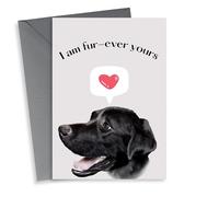 Fur-ever yours anniversary card