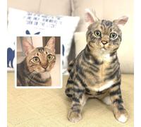 FurEverClone Custom Pet Replica - Handmade Lookalike Stuff Animal Personalized 3D Pet - Custom Made to Look Like Your Pet