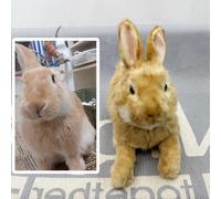 FurEverClone Custom Pet Stuffed Animal, Corgi/Golden Retriever/Labrador Retriever/Poodle/Chihuahua/French Bulldog/German Shepherd/Siberian Husky/Border Collie/Shiba Inu/Shih Tzu are available