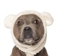 Furhaven Medium Dog Hat Flex-Fit Polar Bear Sherpa Halloween Costume, Washable - Cream, Medium