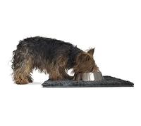 Furhaven Small Pet Door Mat Muddy Paws Absorbent Chenille Shammy Rug, Washable - Charcoal (Gray), Small
