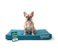 FurHaven Water-Resistant Cooling Gel Dog Bed for Medium/Small Dogs w/Removable Washable Cover, For Dogs Up to 35 lbs - Indoor/Outdoor Logo Print Oxford Polycanvas Mattress - Deep Lagoon, Medium