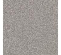 Furlong Flooring Chiltern Twist Carpet (Moonstone, 3M X 4M)