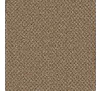 Furlong Flooring Gobi Budget Loop Carpet (Shifting Sands, 4M X 4M)