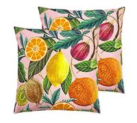 furn. Citrus Outdoor Cushions (Twin Pack), Multi, 43 x 43cm