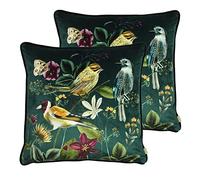 furn. Evans Lichfield Midnight Garden Polyester Filled Cushions (Twin Pack), Polyester, Birds