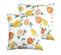 furn. Les Fruits Outdoor Polyester Filled Cushions (Twin Pack), Polyester, Multi