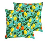 furn. Orange Blossom Outdoor Cushions (Twin Pack), Multi, 43 x 43cm