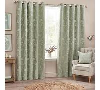 Wylder Nature Wylder Sophia Fully Lined Floral Jacquard Eyelet Curtains Sage 229cm width 229cm drop, Green