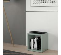 Furniture To Go Mauro Singular Storage Unit in Sage Green - W 38.2 X H 38.3 X D 32.9cm - 1 - Manufactured Wood