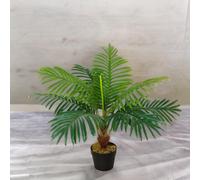 FURNOS Artificial 60CM/2FT Tall Decorative Palm Plant in Green FURNOS Green