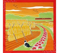 Furoshiki Japanese Wrapping Cloth Towel 50x50cm (Cat Lycoris October)