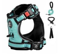 FURRYFECTION Dog Harness | No Pull Dog Harness | Reflective Oxford | Padded Handle | 4 Adjustable Straps | 2 Leash Clips | No Choke Pet Vest Harness for Small Medium Large Dogs | Turquoise | M