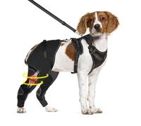 Furtent Dog ACL Knee Brace with Cruciate Ligament Injuries - Keeps Joints Warm and Stable, Upgraded Adjustable Dog Rear Leg Wrap Harness Set for Leg Wound Care Prevents Licking, XL