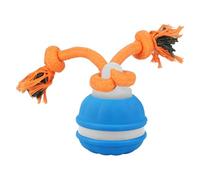Furtryvl Interactive Dog Chew Ball Toys With Rope Birds Sounds 7.5x6cm Motion Activate Rolling Ball For Small Medium Large Dogs Automatic Moving Toy Stimulation Toy For Boredom Relief
