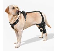 FurWell Dog Knee Brace with Adjustable Support - ACL & CCL Tear Recovery, Post-Surgery Stabilization, Mobility Aid for Rear Legs - Includes Secure Chest Harness for Dogs(Both Legs,L)