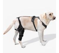 FurWell Dog Knee Brace with Adjustable Support - ACL & CCL Tear Recovery, Post-Surgery Stabilization, Mobility Aid for Rear Legs - Includes Secure Chest Harness for Dogs(Right,M)