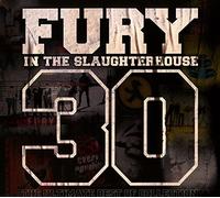 Fury In The Slaughterhouse 30-the Ultimate Best of Collection (CD)