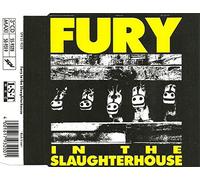 Fury in the Slaughterhouse - Kick it out (3" in 5"-case)