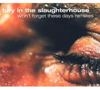 Fury in the Slaughterhouse - Won'T Forget These Days