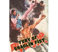 Fury Of Shaolin Fist