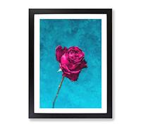 Fuschia Pink Dying Rose Painting Modern Framed Print | A2 Black Framed Wall Art | Ready to Hang | Modern Floral Picture | Living Room Bedroom Lounge Office