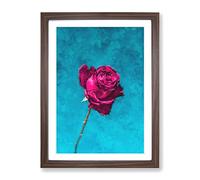 Fuschia Pink Dying Rose Painting Modern Framed Print | A4 Walnut Framed Wall Art | Ready to Hang | Modern Floral Picture | Living Room Bedroom Lounge Office
