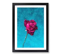 Fuscia Pink Dying Rose Painting Framed Print | A2 Black Framed Wall Art | Ready to Hang | Modern Floral Picture | Living Room Bedroom Lounge Office