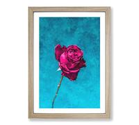 Fuscia Pink Dying Rose Painting Framed Print | A2 Oak Framed Wall Art | Ready to Hang | Modern Floral Picture | Living Room Bedroom Lounge Office