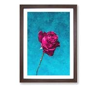 Fuscia Pink Dying Rose Painting Framed Print | A2 Walnut Framed Wall Art | Ready to Hang | Modern Floral Picture | Living Room Bedroom Lounge Office