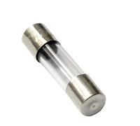 Fuse 100pcs 5 * 20 SMD Fast Blow Glass Fuses 250V Glass Tube Fuse 0.1A/0.2A/0.5A/1A/2A/2.5A/3A/4A/5A/6A/10A/15A/20A/30A Protected circuits (Size : 30A)