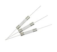 Fuse 100PCS 6 * 30mm Ceramic Fuse Fast Slow Blow Tube Fuse with a Pin 6x30mm 250V 8A 10A 15A 20A 25A 30A Protected circuits (Color : 25a, Size : FAST F)
