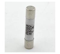 Fuse 100pcs R055 250V 5x25mm Fast Blow Ceramic Tube Fuse 1A 2A 3A 4A 5A 6A 8A 10A 15A 20A RO55 5 * 25mm 5x25 5 * 25 Protected circuits (Size : 6A)