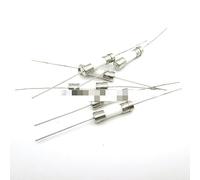 Fuse 10PCS 5 * 20mm Ceramic Slow Blow Tube with a pin 5x20mm 250V 0.5A 1A 2A 3A 4A 6A 7A 8A 10A 12A 15A 20A 25A 30A(10A)