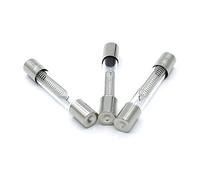 Fuse 10PCS 5KV 0.75A 0.65A 0.7A 0.8A 0.9A 650mA 750mA 700mA 800mA 900mA Microwave Oven High Voltage Fuse Protected circuits (Size : 0.65A)