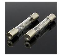 Fuse 10PCS 5KV 0.8A 800MA Microwave Oven High Voltage Fuse Protected circuits