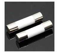 Fuse 10pcs Ceramic Fuse 5mm x 20mm Slow Blow T 0.5A 1A 2A 3A 4A 5A 6A 8A 10A 13A 15A 16A 20A 250V Protected circuits (Size : 2A)