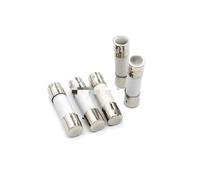 Fuse 10PCS Slow Blow Fuse 5A 250V Ceramic Fuse 5 * 20mm Fuse T5A/250V Without Pin 5X20MM New Protected circuits