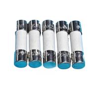 Fuse 2.5A 250V T2.5AH 5 * 20MM slow blow(T2.5A 250V 5X20MM)