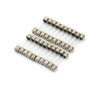 Fuse 20PCS 5 * 20mm 6 * 30mm Fuse Assorted Kits DIY Quick Blow Glass Tube Fast-Blow Glass Fuses 5A 10A 15A Protected circuits (Color : 10a 20pcs)