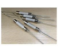 Fuse 8A 10A 12A 15A 20A 25A 30A 250V 6 * 30mm Miniature Fuses 6x30 Axial Ceramic Fuse x 100PCS Protected circuits (Size : 10A)