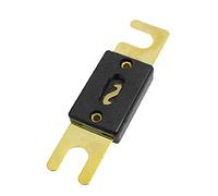 Fuse Fuse Auto Fuse Blade Fuse 30A 40A 50A 60A 70A 80A 100A 125A 130A 150A 180A 200A 250A 300A 400A Protected circuits (Size : 300A)