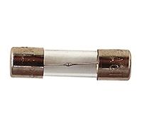 Fuse Glass Slow Blow 20mm 125mA